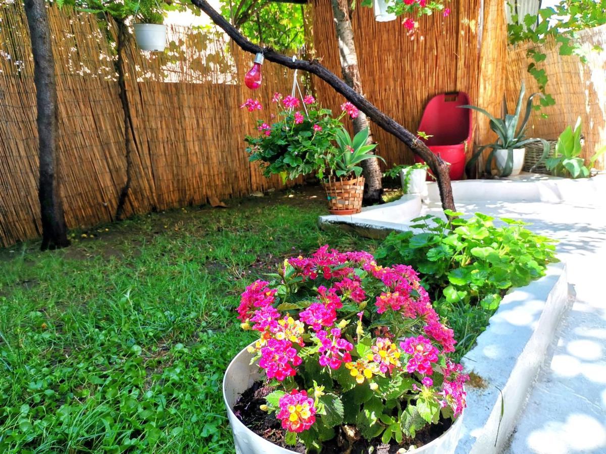 Oasis Luxury Detached House In Thessaloniki With Hydromassage Lejlighed Eksteriør billede
